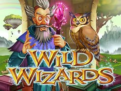 wild wizards