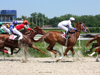 horse race as in Derby Dollars game at SlotoCash Casino